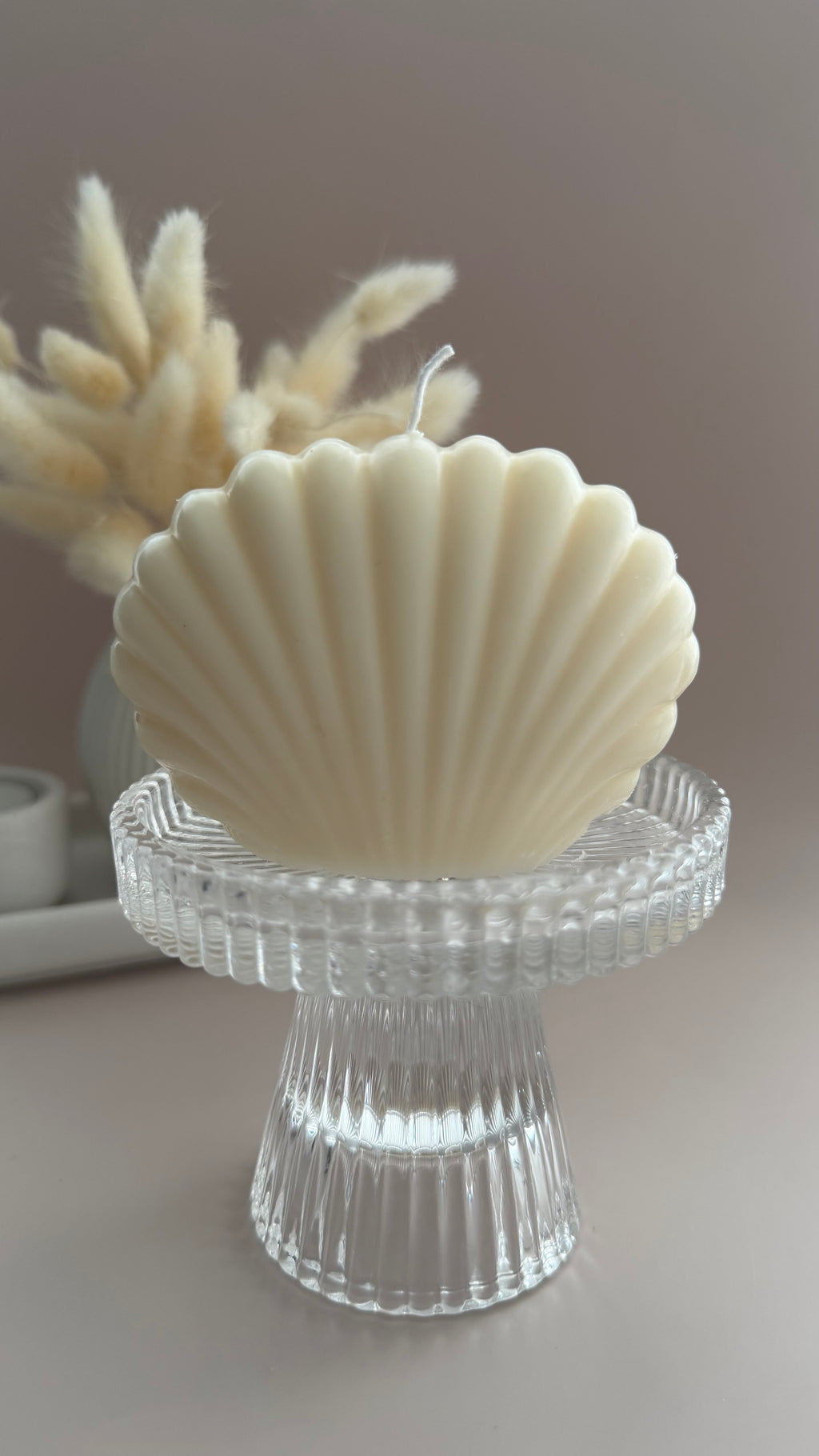 Muschelkerze