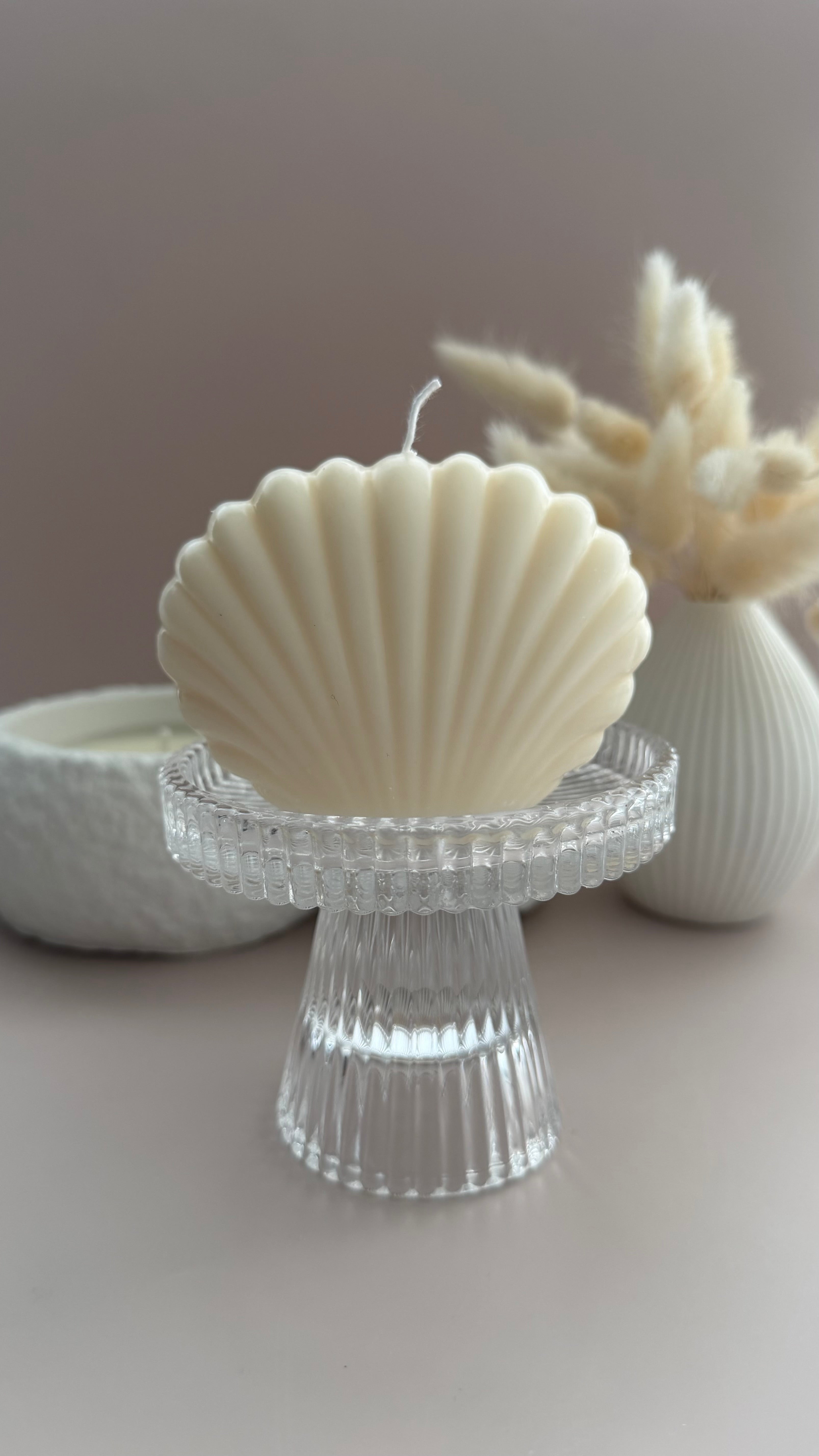 Muschelkerze