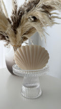 Muschelkerze